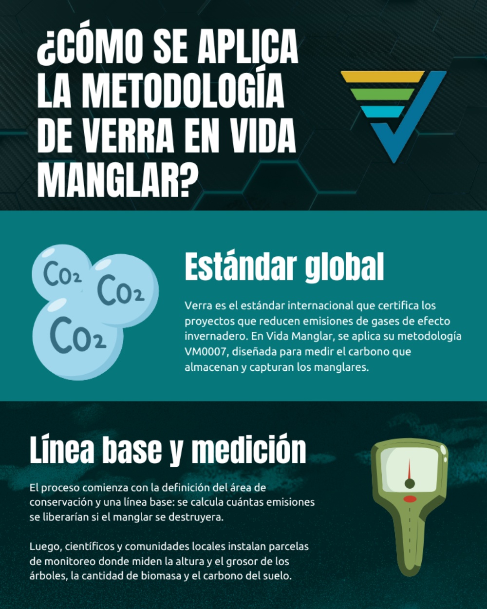 Slide 1 infografía 4